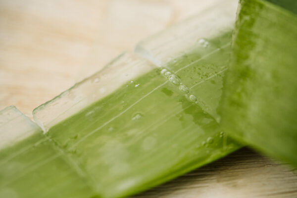 Gel d'Aloe Vera 100% 5 kg - immagine 2